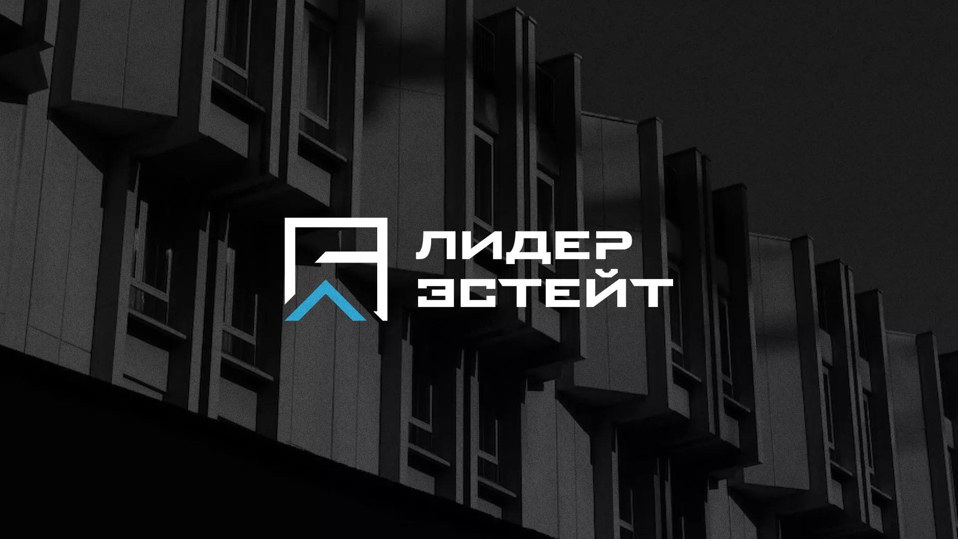Разработка логотипа агентства недвижимости «Лидер Эстейт» в Муравленко